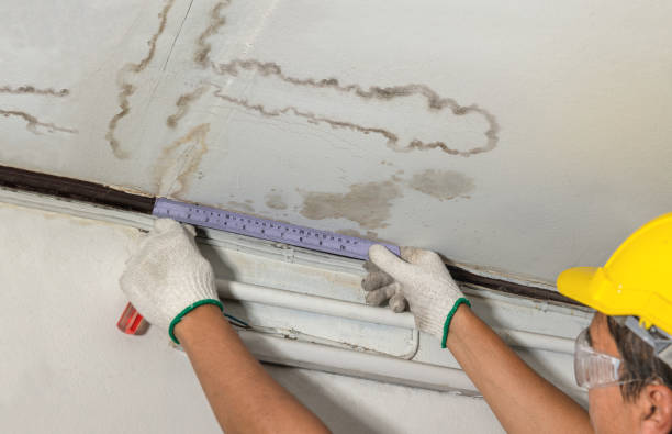 Reliable Water Damage contractor in Eastland, TX by Water Damage Irwin